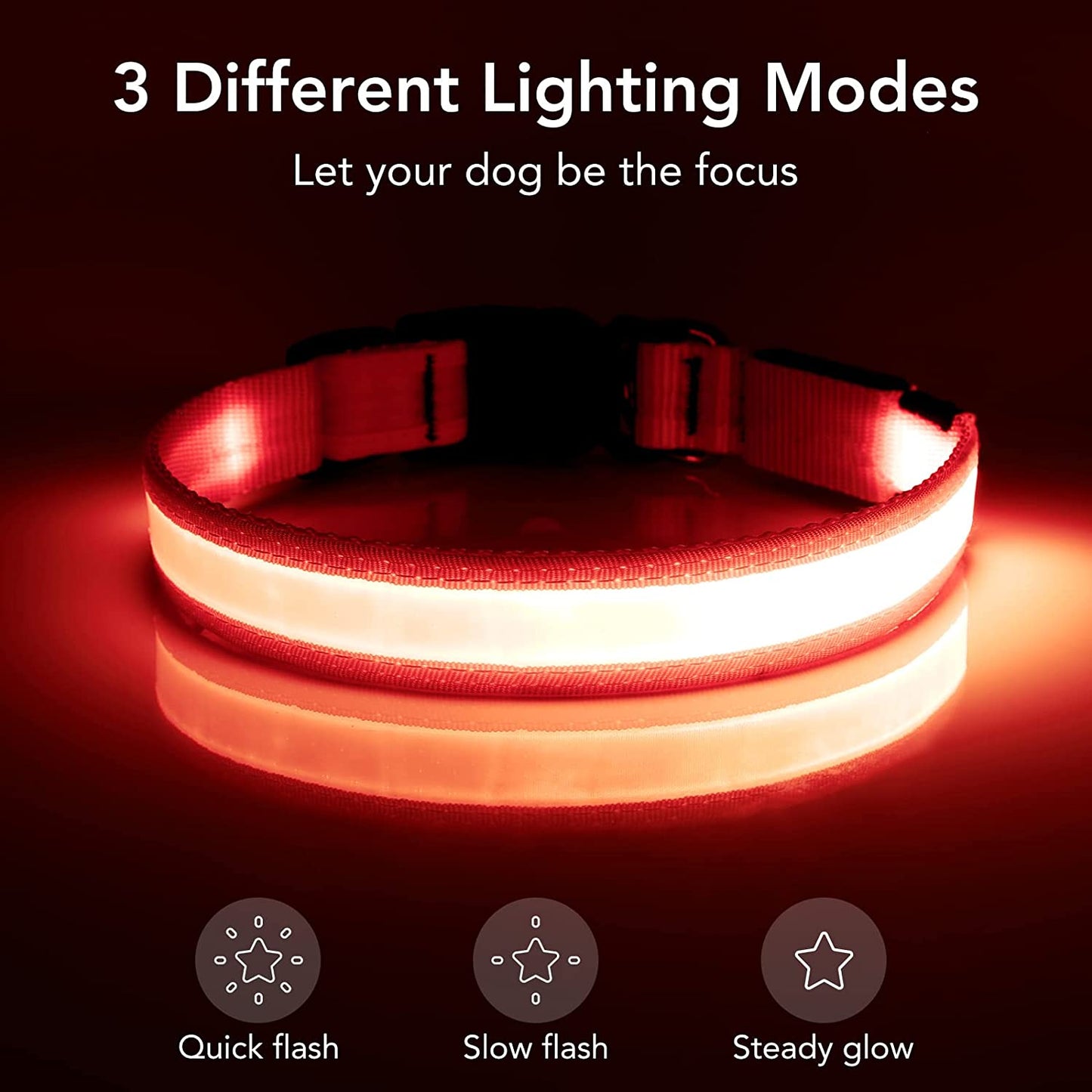 Super Bright Rechargeable LED Dog Collar - Adjustable Safety Glow for Small Dogs - Red