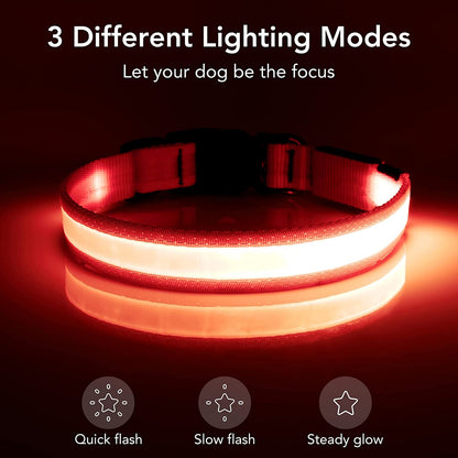 Super Bright Rechargeable LED Dog Collar - Adjustable Safety Glow for Small Dogs - Red